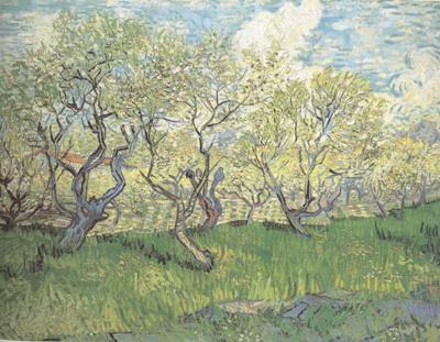 Vincent Van Gogh Orchard in Blossom (nn04) oil painting picture